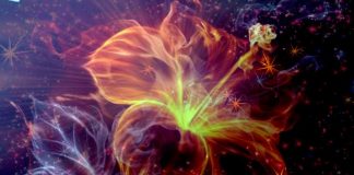 Le Conseil – Quelques questions longues avec des réponses courtes